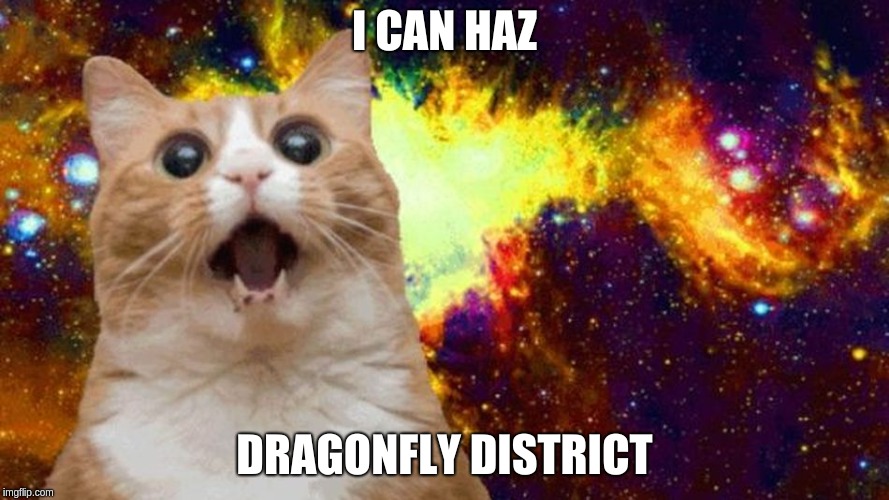 we haz district!